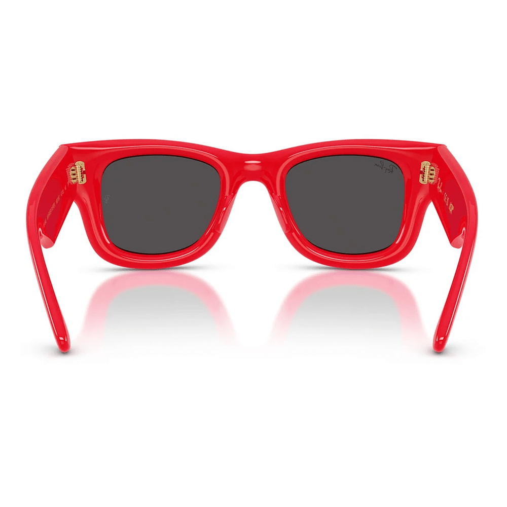 Ray-Ban RB4940 Wayfarer Puffer 6831/87 by A$AP Rocky Shades