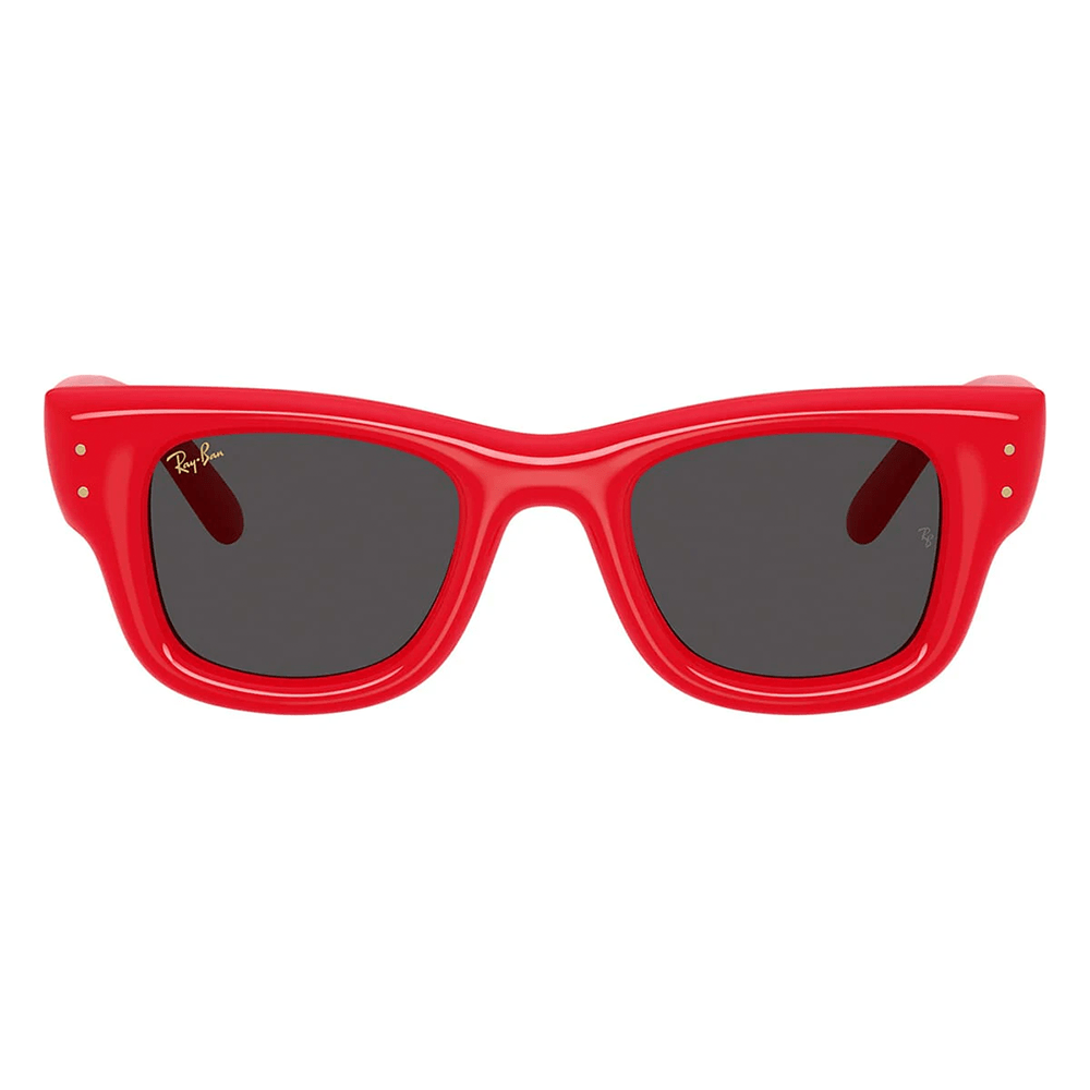 Ray-Ban RB4940 Wayfarer Puffer 6831/87 by A$AP Rocky Shades