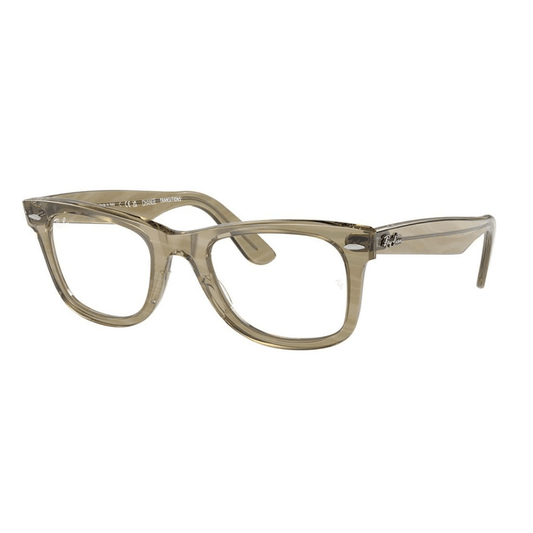 Ray-Ban RB2140 Wayfarer 1387GG Shades