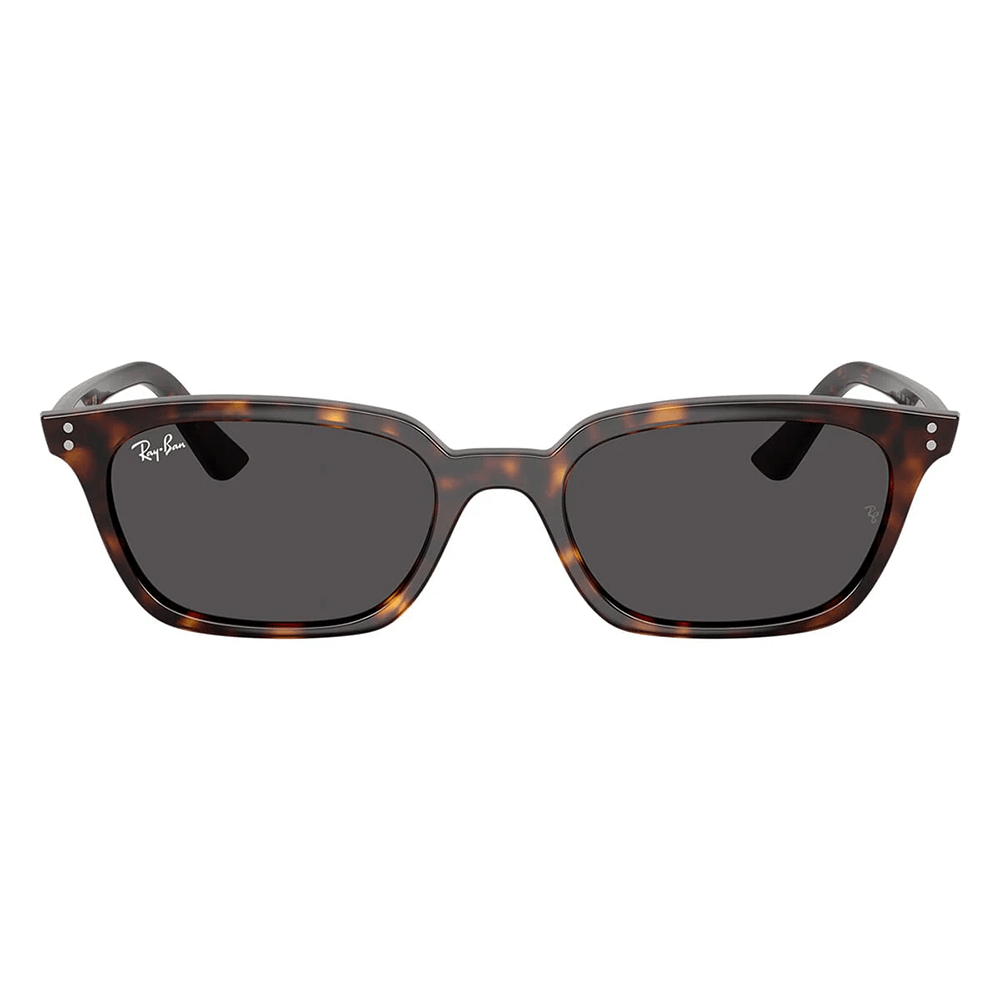 Ray-Ban RB4456 Zaya 1359/87 50 Shades