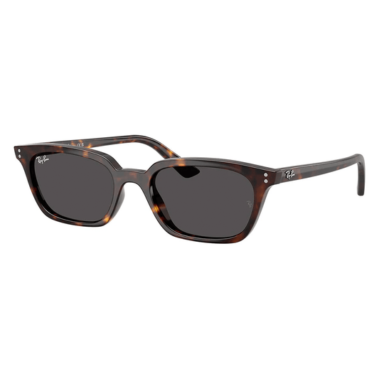 Ray-Ban RB4456 Zaya 1359/87 53 Shades
