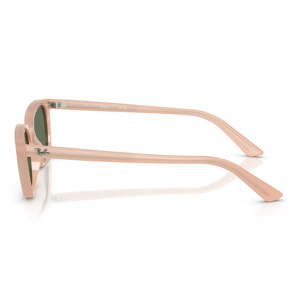 Ray-Ban RB4456 Zaya 6811/82 53 Shades